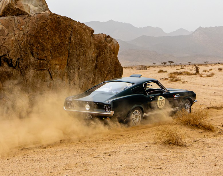 Badawi Trail to the Last Osasis 2026